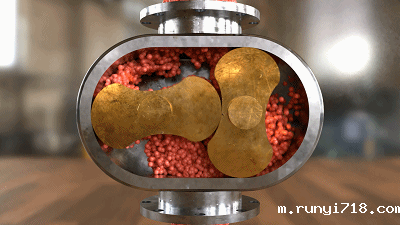 两叶罗茨式鼓风机(叶泵)的工作原理